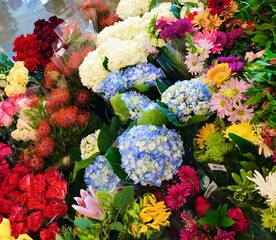 Fresh hydrangeas, roses, and mixed bouquets in bloom