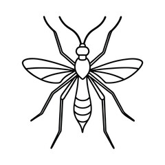 Obraz premium crane fly insect line vector illustration