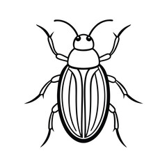 flea beetle line art vector illustration