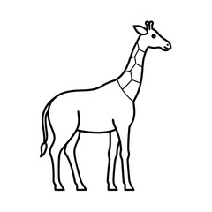 giraffe animal line vector illustration