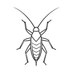 katydid line vector illustration