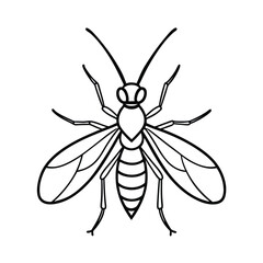 Manti fly line vector illustration