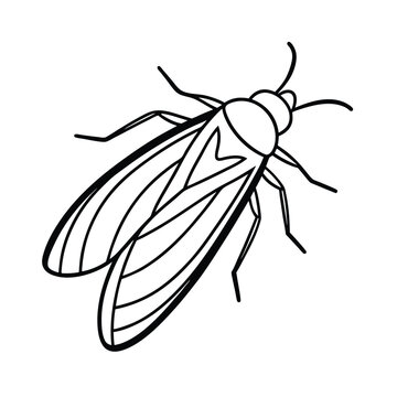 planthopper line vector illustration