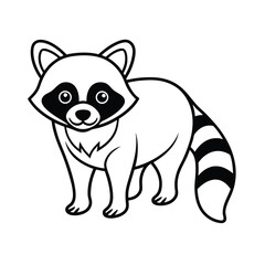 raccoon animal vector illustration