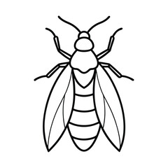 scale insect line vector illustration