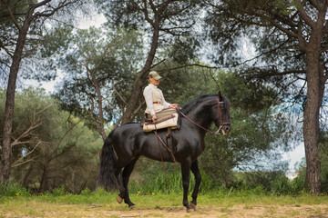 Young horsewoman riding her black Spanish thoroughbred horse, posing in the middle of the field....