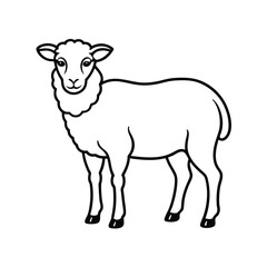 Obraz premium sheep animal line vector illustration