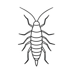 silverfish insect line vector illustration