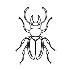 stag beetle line vector illustration
