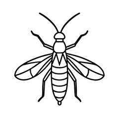 stonefly line vector