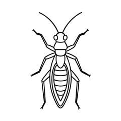 thrips insect line vector illustration