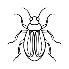 whirligig beetle line vector