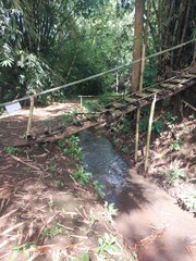 Rustic bamboo bridge built by villagers crossing a narrow tropical stream.