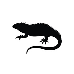 Black silhouette lizard crawling on white background Vector illustration
