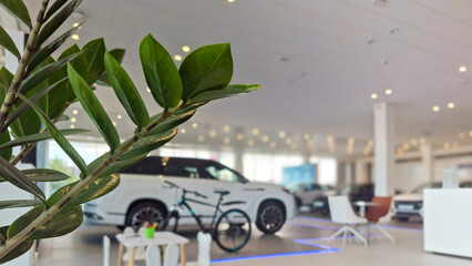 Modern car dealership interior with plant foreground. Focus on design, cleanliness, and branding. Bright and airy space. Blurred background