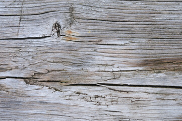 Old wood texture. Abstract background for design. Pattern of the old wood.