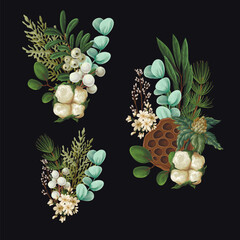Vector Christmas botanical set with greenery leaves berries and flowers