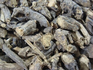 Multiple Slices of Dried Patrinia Root for Oriental Herbal Use