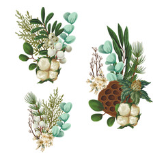 Vector Christmas botanical set with greenery leaves berries and flowers