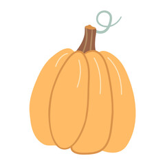 Orange pumpkin with a curly stem. Hand drawn flat vector illustration