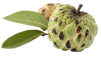 Fototapeta premium custard apple isolated on white background