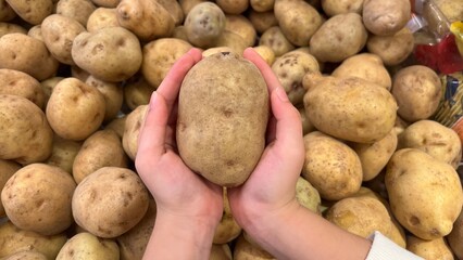 fresh potatoes holding by kids hand