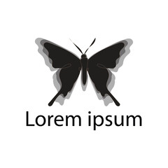 butterfly vector illustration