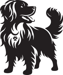 black and white dog 
