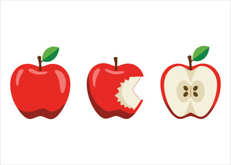 Flat apple collection vector. Bitten fruit, core and text in playful colorful style.