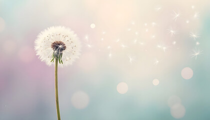 Dandelion Seed Head with Soft Bokeh and Sparkling Light Effects in Gentle Pastel Colors