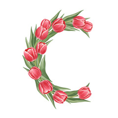 Pink Tulip Floral Crescent Design on Transparent Background
