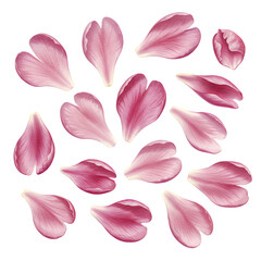 Pink flower petals with heart shapes arranged on a black background. The petals are soft, delicate, and slightly translucent.  The image is simple and elegant, perfect for various design projects.