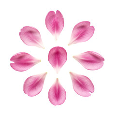 Pink flower petals arranged in a circular pattern on a black background. The petals are soft pink and have a delicate texture. The image is simple and elegant, perfect for a variety of uses.
