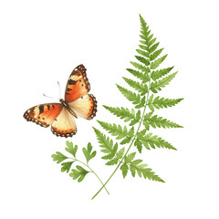 Orange and brown butterfly near green fern and small leaf on transparent background. Watercolor style illustration of nature, delicate details, vibrant colors, and organic shapes.