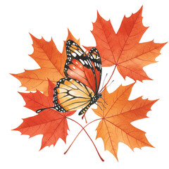 Orange and black monarch butterfly resting on three autumnal red and orange maple leaves. Watercolor style illustration with transparent background. Fall season nature scene.