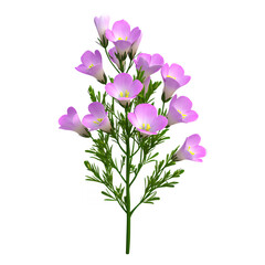 Light pink flowers with green stems and leaves on a transparent background. The flowers are delicate and have a soft appearance. The image is digitally rendered.