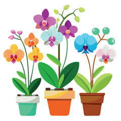 Orchids in Flowerpots Isolated on White Background – Elegant Botanical Plant Illustration for Interior Decor, Gardening, Nature Themes, or Floral Design Projects