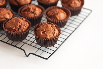 Freshly baked chocolate muffins on a cooling rack. Soft focus