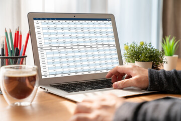 Accounting software on computer screen showing financial statement spreadsheets and account balance...