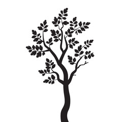 Fototapeta premium Tree Silhouette with Leaves, Simple Nature Design 