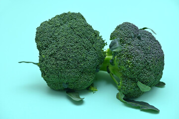 bright image of two cabbage broccoli on a green background