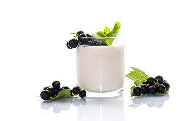 Blackcurrant with homemade yogurt on white background