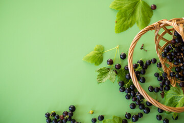 Natural currant berries in a basket and scattered on a green background