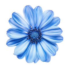 Fototapeta premium Vibrant blue flower isolated on white background showcasing delicate petals and intricate details of nature, blue flowerisolated on white background