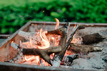 Cozy campfire with glowing embers. Enjoy the warmth and light of a wood fire. Soothing flames of...