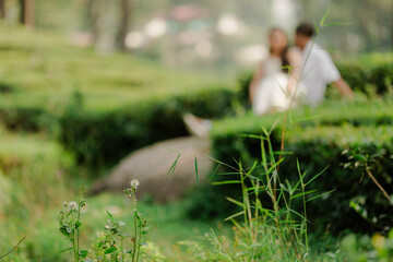 Couple in a green garden, surrounded by lush vegetation and a sense of serene harmony, an intimate moment shared amidst nature's beauty.