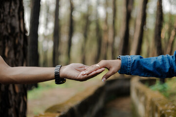 Fototapeta premium Hand reaching out to another hand in a forest setting, symbolizing connection, unity, and relationships. The warm light adds a sense of hope and intimacy.