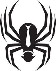 black spider isolated on white silhouette 