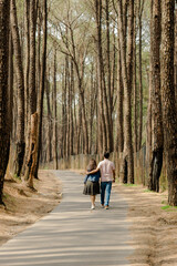 Fototapeta premium Couple walking through a picturesque forest path, enjoying nature and companionship. Tall trees surround them in a serene atmosphere. Romantic getaway.