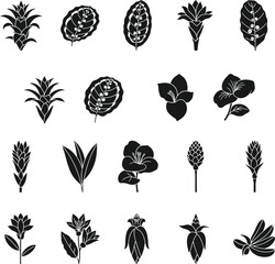 Collection of black and white stylized floral and leaf silhouettes flower botanical